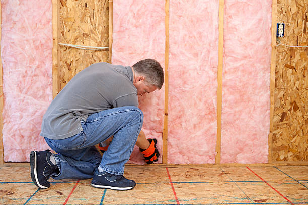 Best Insulation Maintenance and Repair in Livingston, TN